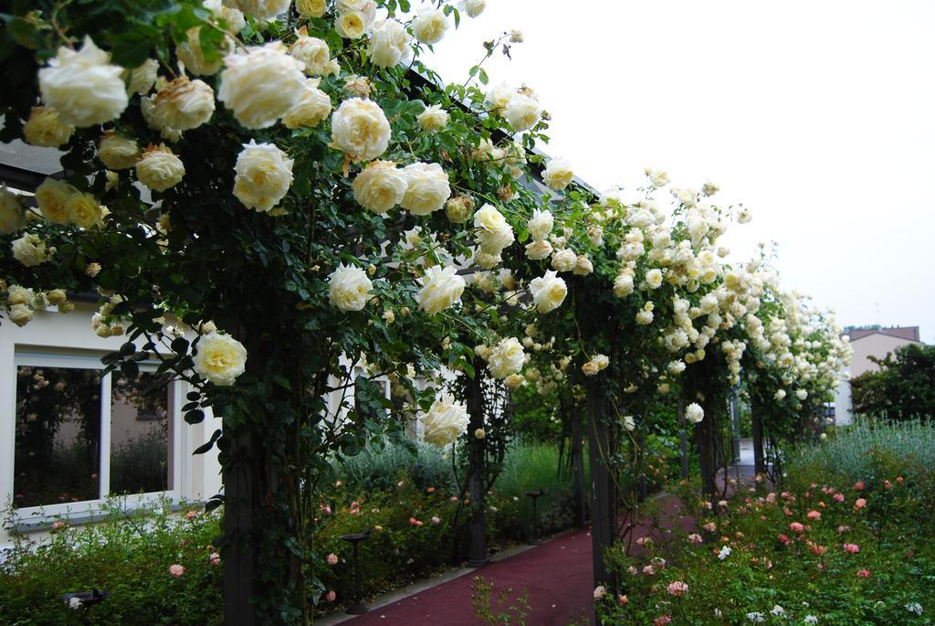 Relais Villa Roncuzzi Russi Екстериор снимка