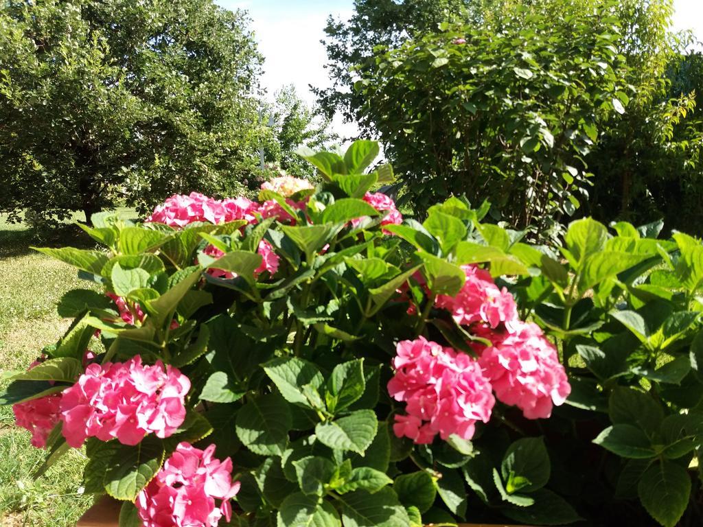 Relais Villa Roncuzzi Russi Екстериор снимка